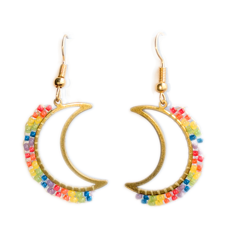 OceanLoverJen Pride Crescent Moon Earrings