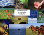 Postcard Set by Tara Lowry Photography