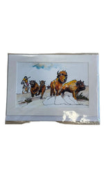 Gary David Métis Greeting Cards