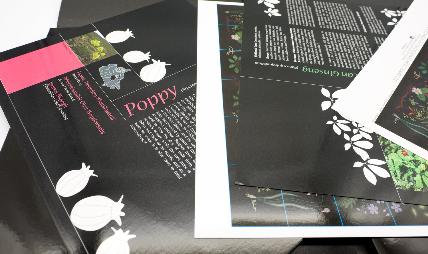 Medicines To Help Us - Book and Print