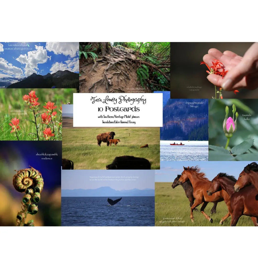 Postcard Set (set of 10) by Tara Lowry Photography