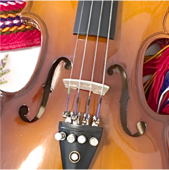 Image of a custom Métis violin